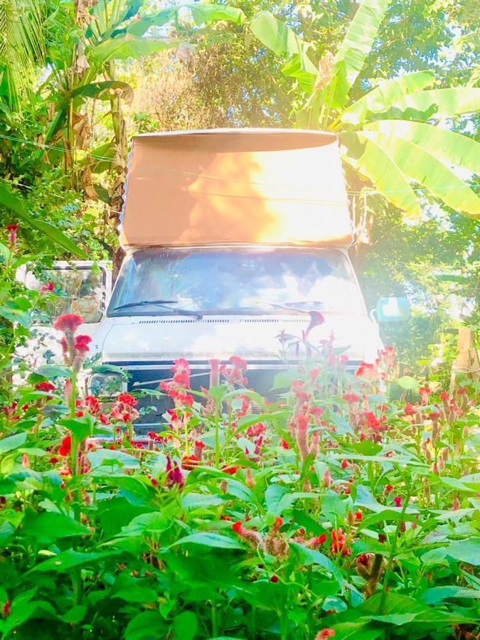 Rainbow Caravan Hostel Las Pilas Buitenkant foto